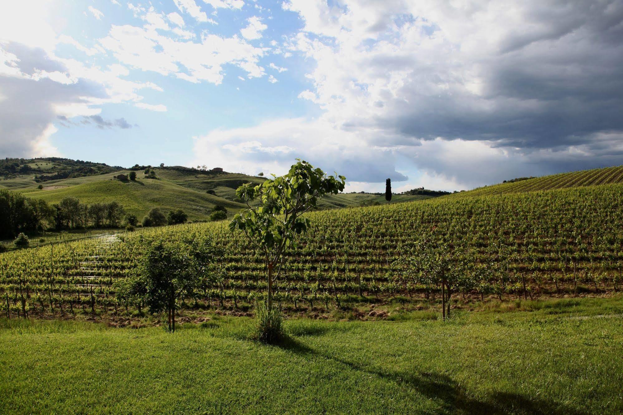 Follonico 4-Suite B&B Torrita di Siena Esterno foto