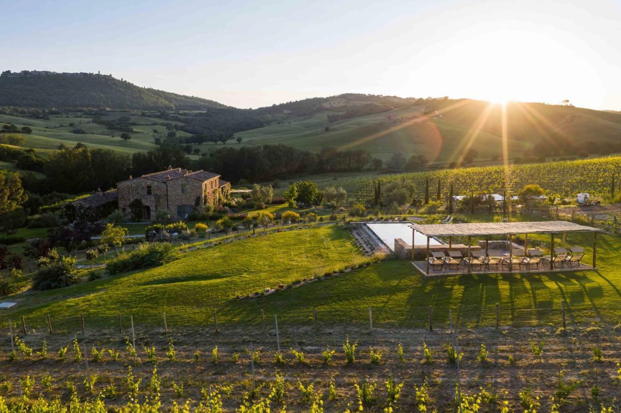 Follonico 4-Suite B&B Torrita di Siena Esterno foto