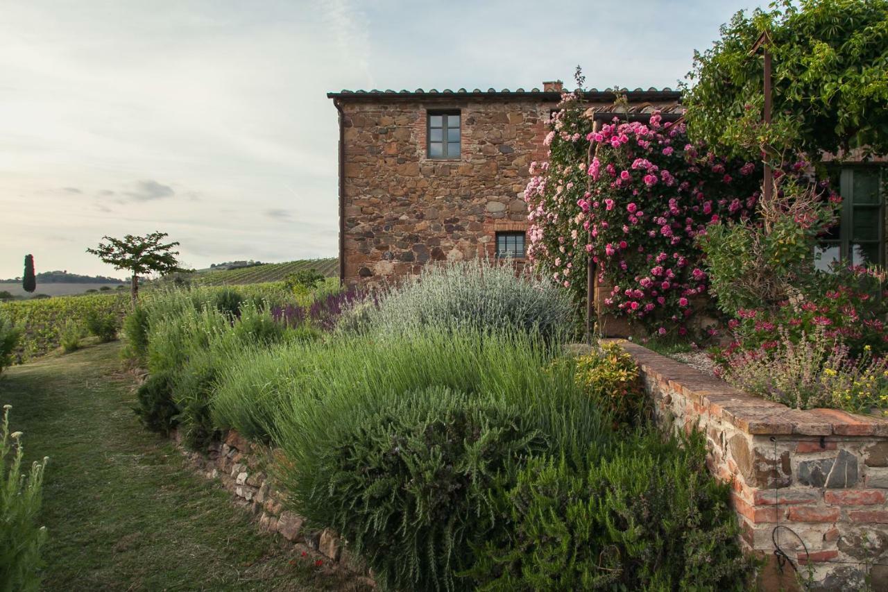 Follonico 4-Suite B&B Torrita di Siena Esterno foto