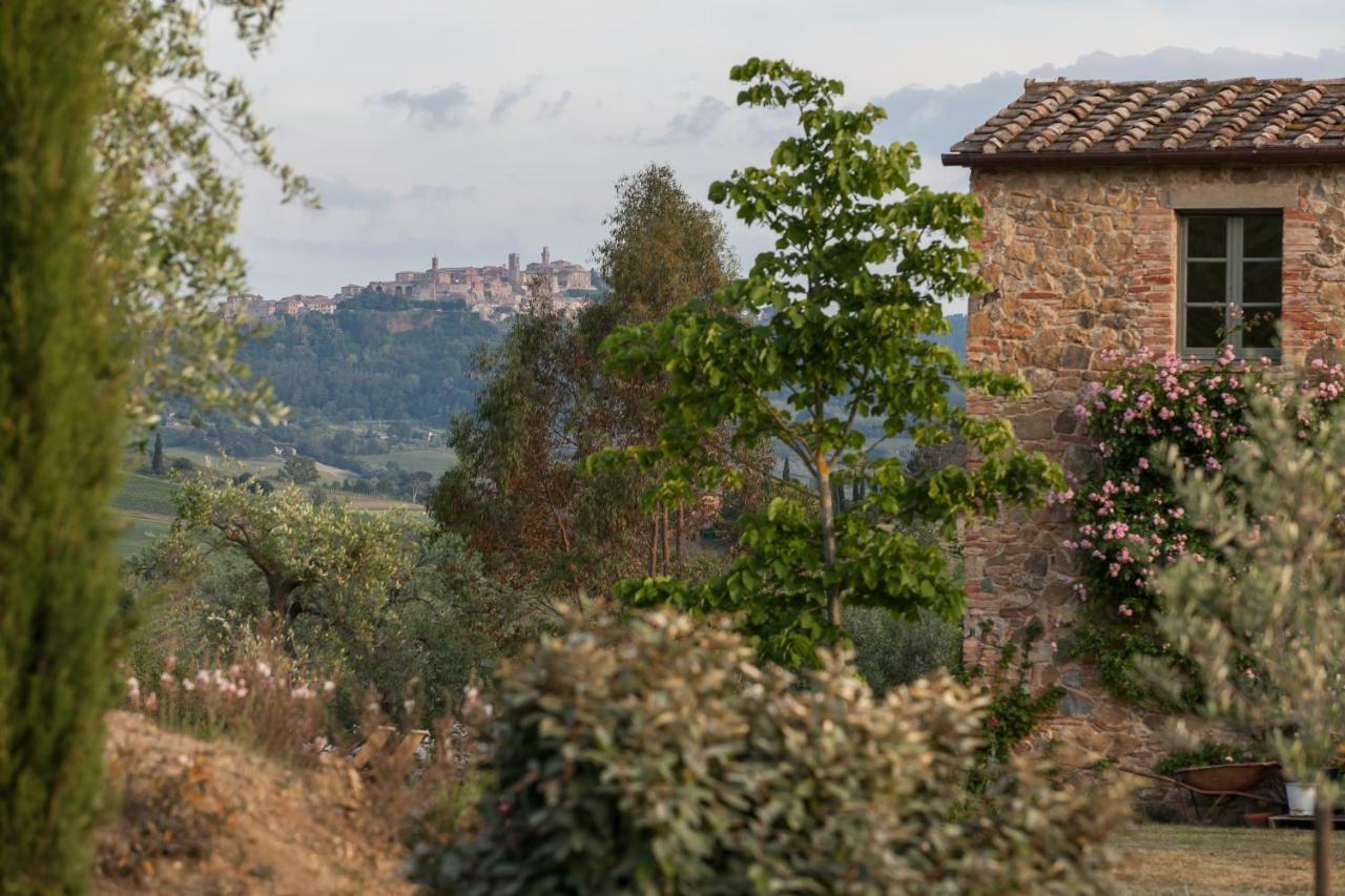 Follonico 4-Suite B&B Torrita di Siena Esterno foto